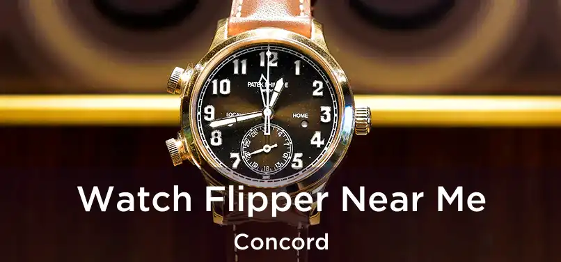  Watch Flipper Near Me Concord